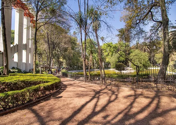 Ph In Condesa With A Private Terrace
