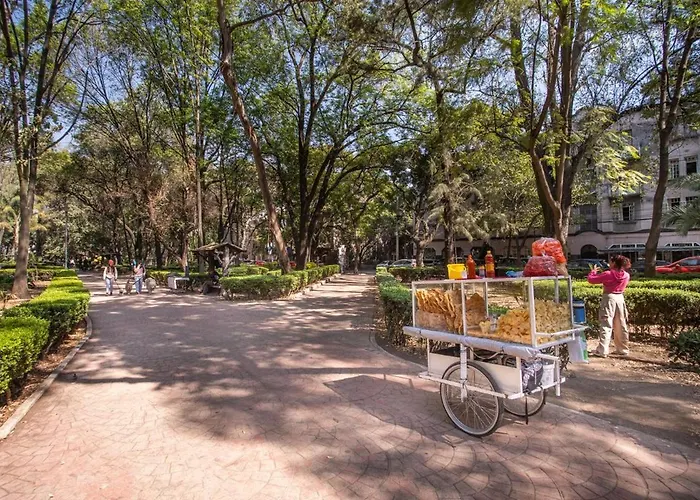 Apartment Ph In Condesa With A Private Terrace Mexico City