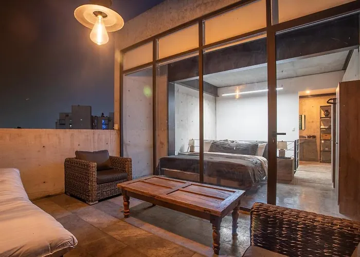 Ph In Condesa With A Private Terrace Mexico City