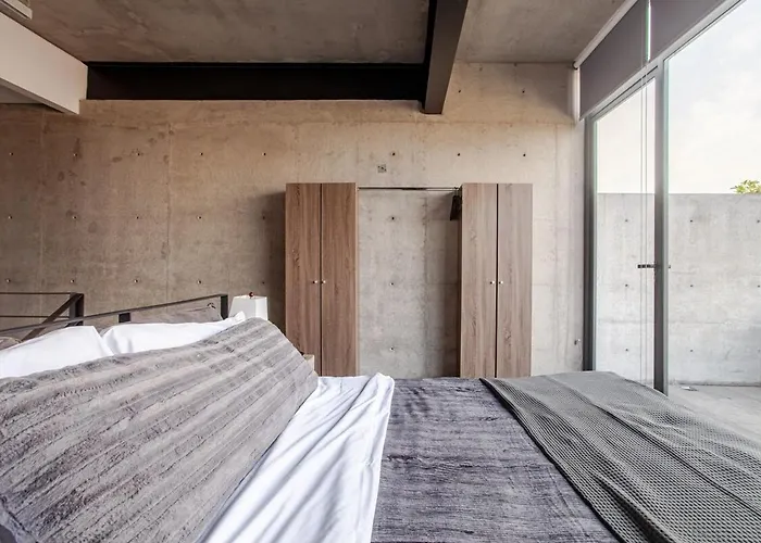 Ph In Condesa With A Private Terrace