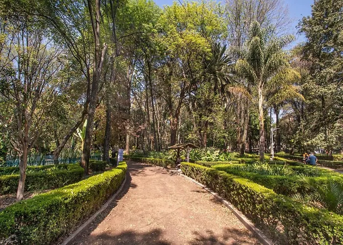 Ph In Condesa With A Private Terrace