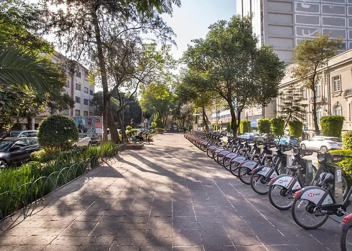 Ph In Condesa With A Private Terrace